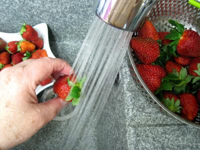 Mousse aux graines de tournesol et son coulis de fraises - 1.1