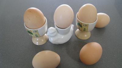 Photo : Oeuf