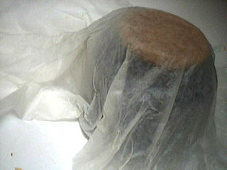 Aumônières de crêpes au chou chinois - 1.3