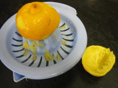Avocat façon mimosa - 1.3