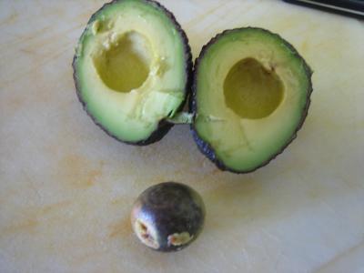 Avocats sautés et gratinés - 2.4