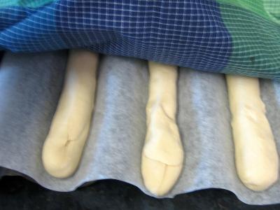 Baguettes de pain en direct aux graines de pavot - 8.1