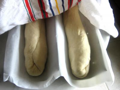 Baguettes viennoises au poolish - 10.1