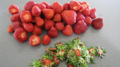Fraises chantilly - 1.3