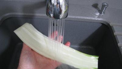 Beignets de cardes de bettes - 2.1