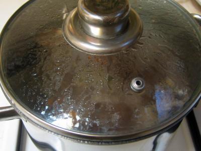 Boeuf à l'ail - 4.2