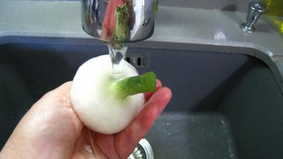 Thon kaskarote à la basquaise - 2.3