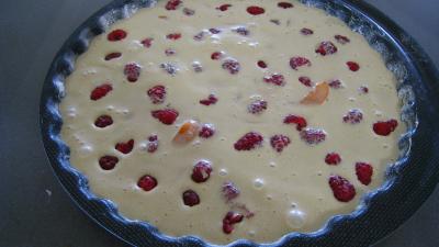 Clafoutis aux framboises et aux abricots - 3.4