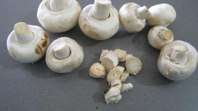 Bouchées au ragoût de gambas - 1.2