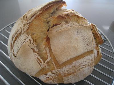 Pain à la farine bise - 11.1
