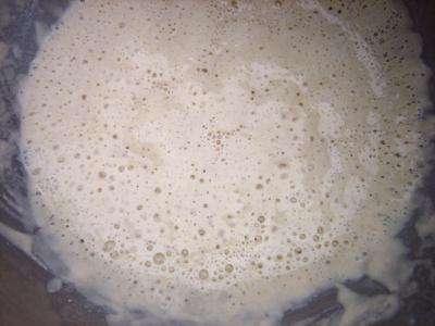 Pain à la farine complète au poolish - 3.1