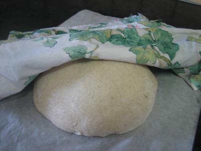 Pain à la farine complète au poolish - 9.3