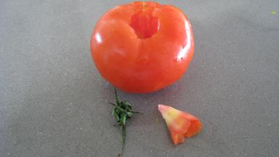 Salade mozzarella - 4.2