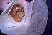 Bricks de saumon - 6.3