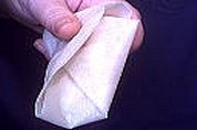 Bricks de saumon - 7.2