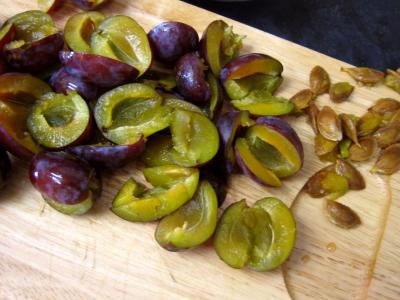 Crème glacée de prunes au yaourt - 1.2