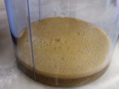 Crème glacée de prunes au yaourt - 1.4