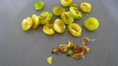Clafoutis aux mirabelles et aux cacahuètes - 1.1