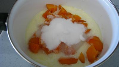 Coulis d'abricots - 2.4