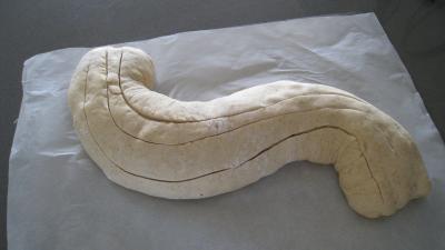 Pain aux lardons - 7.1