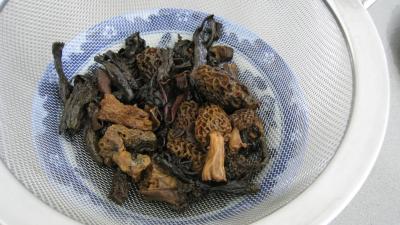 Brick aux champignons des bois - 5.3