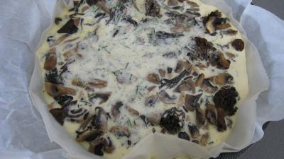 Brick aux champignons des bois - 9.3