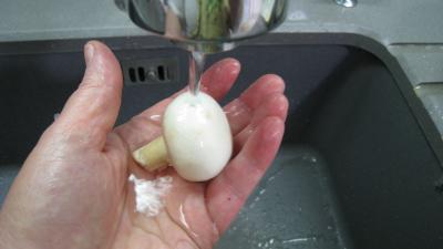 Brick aux champignons des bois - 3.2