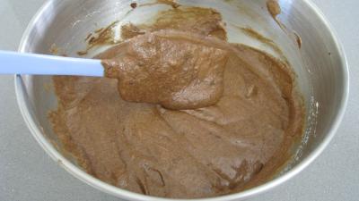 Brownies moisis aux asticots - 7.2