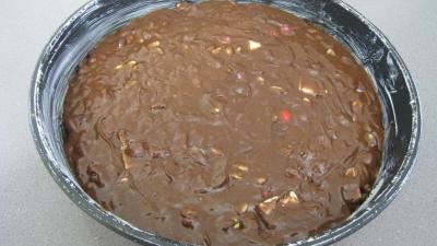 Brownies moisis aux asticots - 9.1