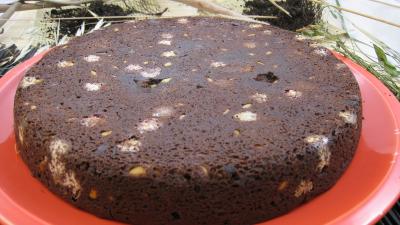 Image : Brownies moisis aux asticots