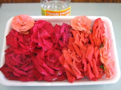 Ingrédients pour la recette : Vinaigre de roses
