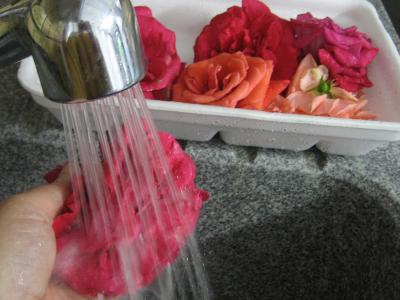 Vinaigre de roses - 1.1