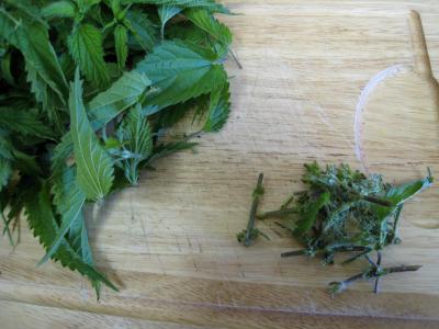 Velouté d'orties aux légumes - 1.1