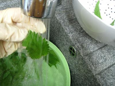 Velouté d'orties aux légumes - 2.2