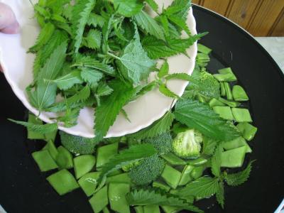 Image : Velouté d'orties aux légumes