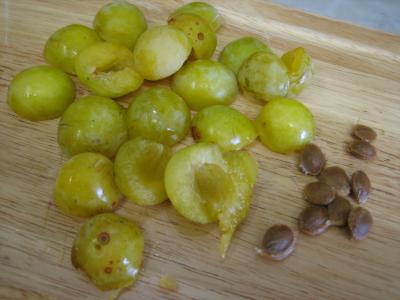 Salade végétarienne aux crozets et aux mirabelles - 1.2