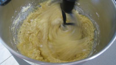 Biscuits de Savoie (biscottini alla Savoiarda) - 3.1