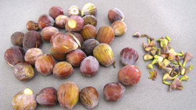 Figues aux carambars - 1.2