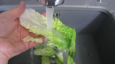 Salade Argenteuil - 5.1
