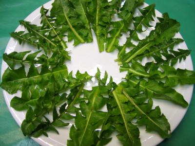 Image : Carottes en salade