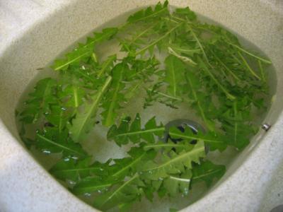 Carottes en salade - 1.1