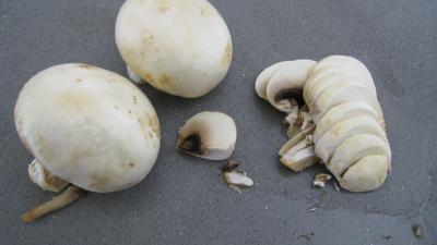 Croquettes de tagliatelles aux champignons - 3.2