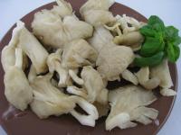 Pleurote