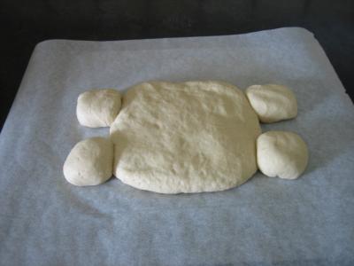 Pain aux oignons en forme de tortue - 11.1