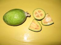 Feijoa