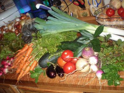 Levure alimentaire