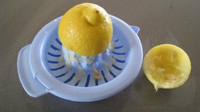 Crème de cardon - 4.1