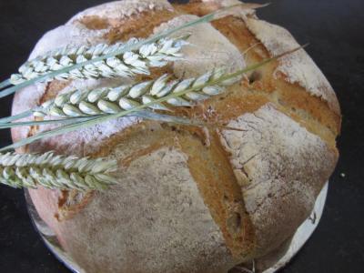 Pain de campagne au poolish
