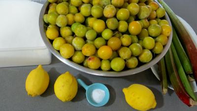 Comment cuire les mirabelles ?