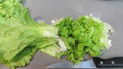 Conservation de la salade